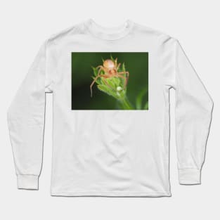 Spider identified as Philodromus sp. - running crab spider Long Sleeve T-Shirt